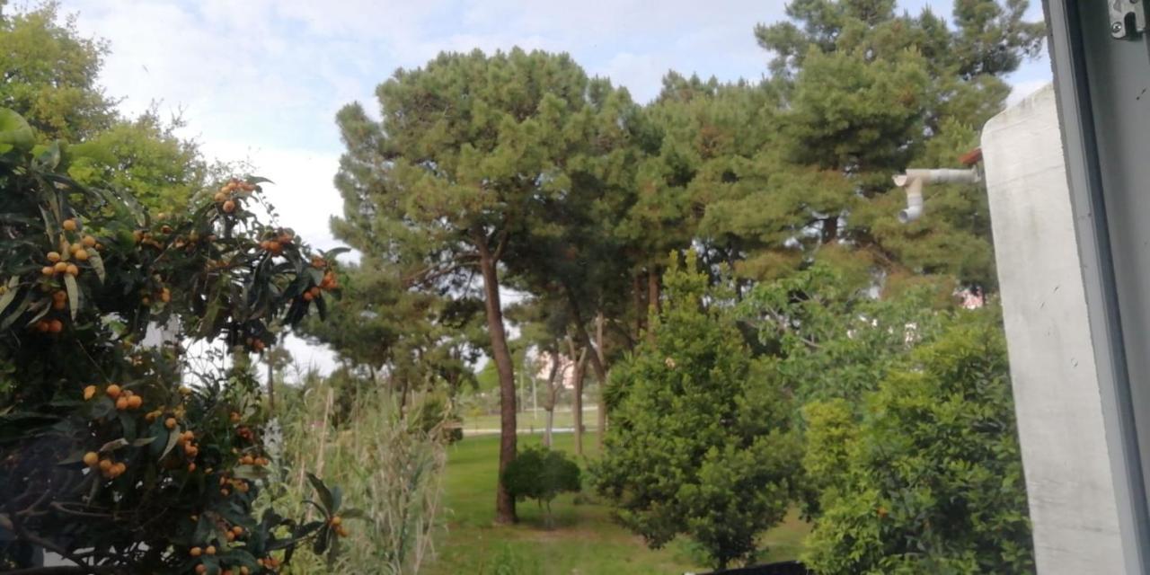 Guesthouse Marialva Park Corroios Luaran gambar